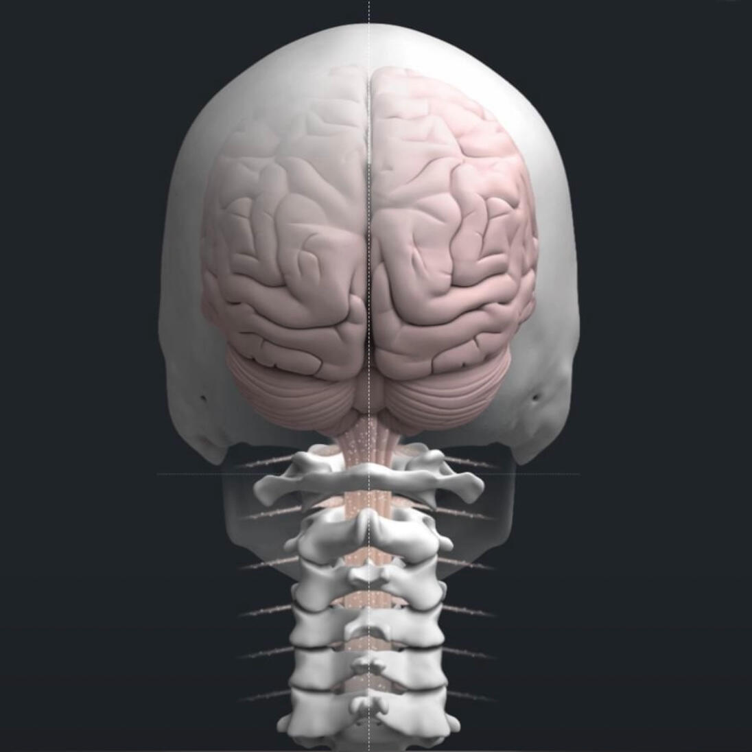 Dr. Ryan Hetland | Chiropractor | Inver Grove Heights, MN